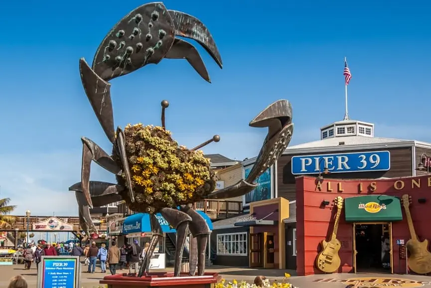 Discovering the Charm of PIER 39 in San Francisco