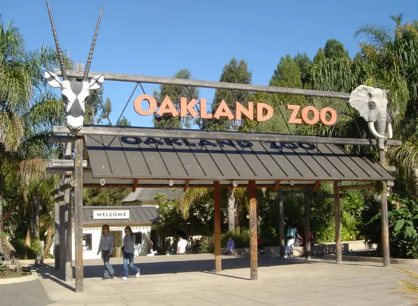 Explore The Diverse Animal Exhibits At Oakland Zoo