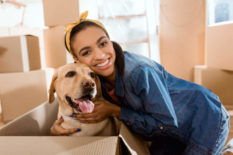 Moving with a dog: How to do it right