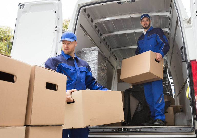 5 Essentials for Moving Day