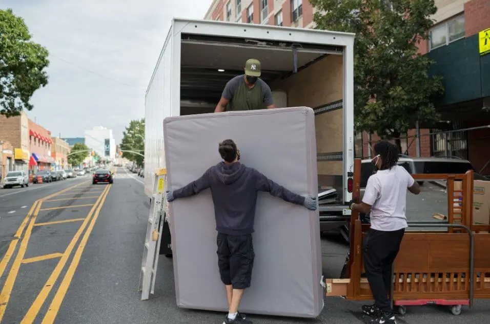 In-Depth Insight: Researching Moving Companies for a Seamless Move With Expert Movers