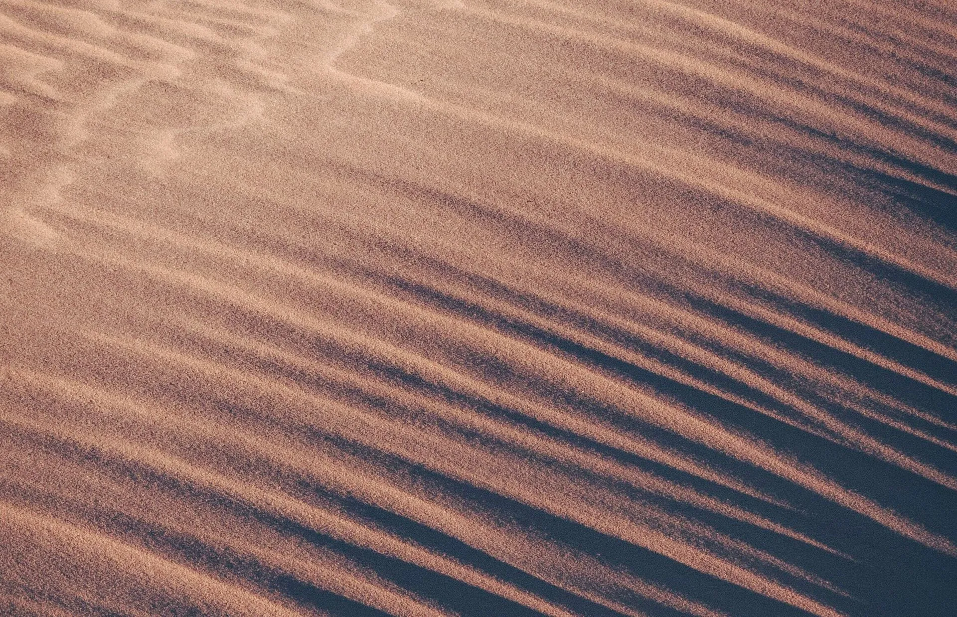 Close-up of rippled sand in warm sunlight, with diagonal shadows creating a textured pattern